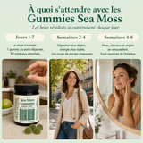 Gummies Sea Moss 16-en-1